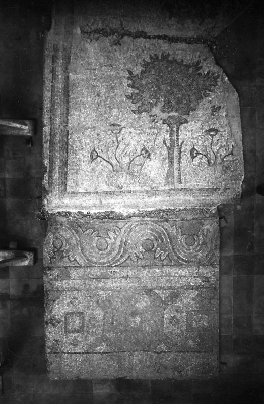 Mosaïques de la Grande Colonnade d'Apamée