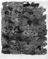 B009828
