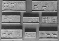 B009914