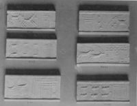 B009916