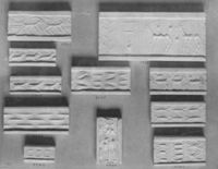 B009918