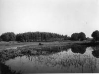 B010435