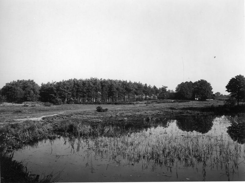étang / Aspect[Zutendaal]