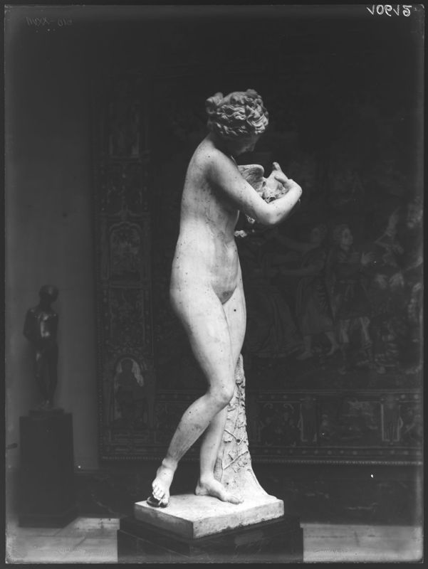 Vénus aux colombes