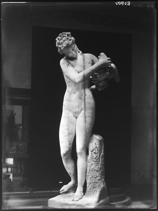 Vénus aux colombes