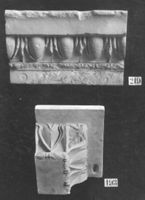 B011436