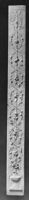 B011724