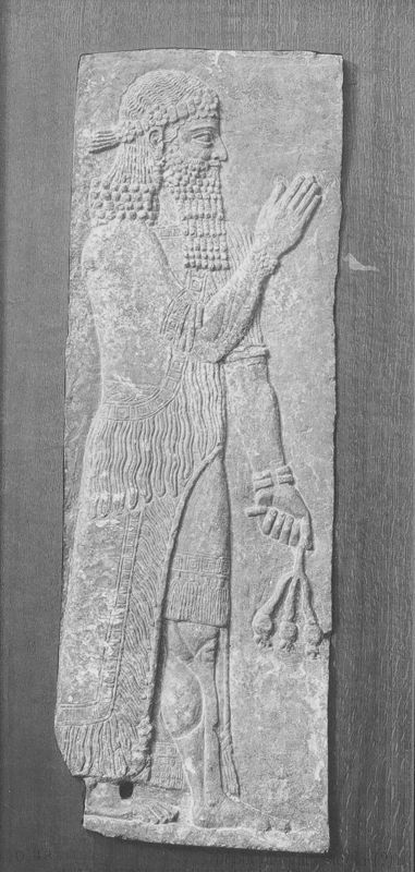 dignitaire avec pavot