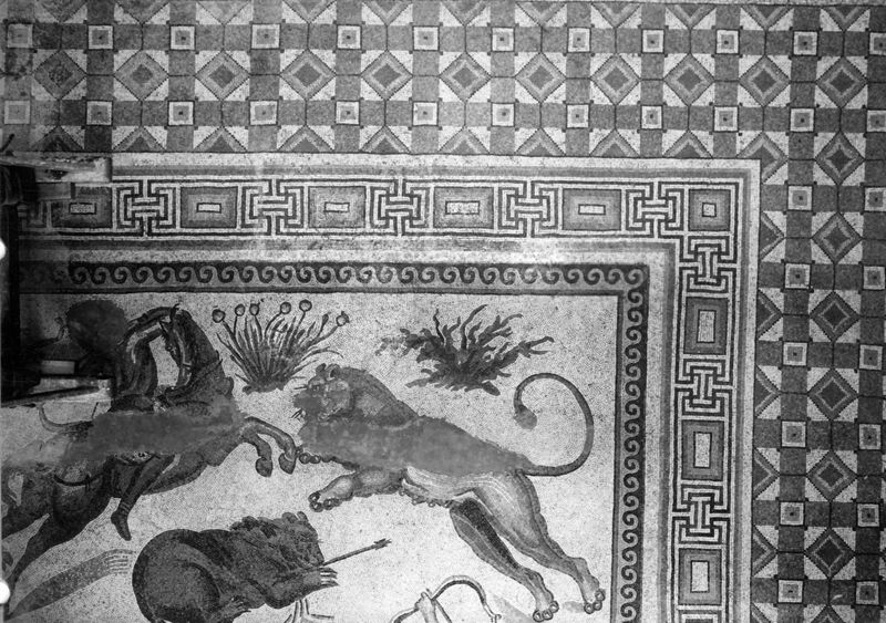 Apamée: grande mosaïque de chasse du Triclinos - Apamea: het grote jachtmozaïek