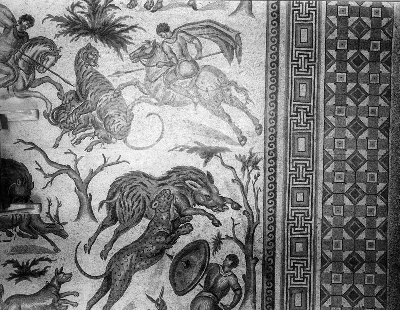 Apamée: grande mosaïque de chasse du Triclinos - Apamea: het grote jachtmozaïek