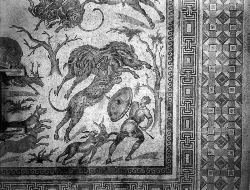 Apamée: grande mosaïque de chasse du Triclinos - Apamea: het grote jachtmozaïek