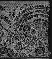 B013853