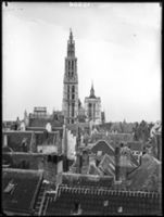 B015856