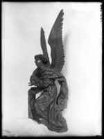 B016224