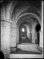 B017295