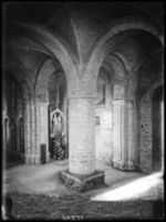 B017296