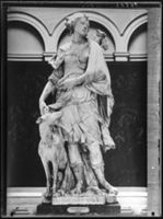 B017396