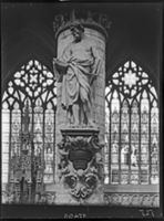 B017453