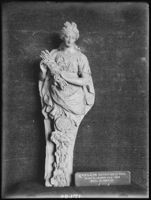 B017494