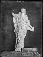 B017505