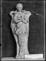 B017508