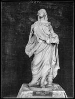 B017517