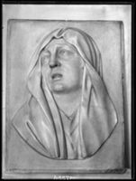 B017536