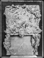 B017538