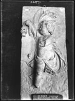 B017544