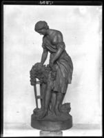 B017556