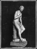 B017557