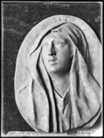 B017566