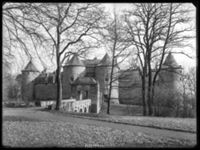 B017739