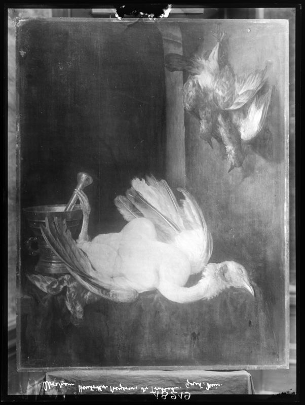 De kalkoense hen
