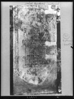 B018353