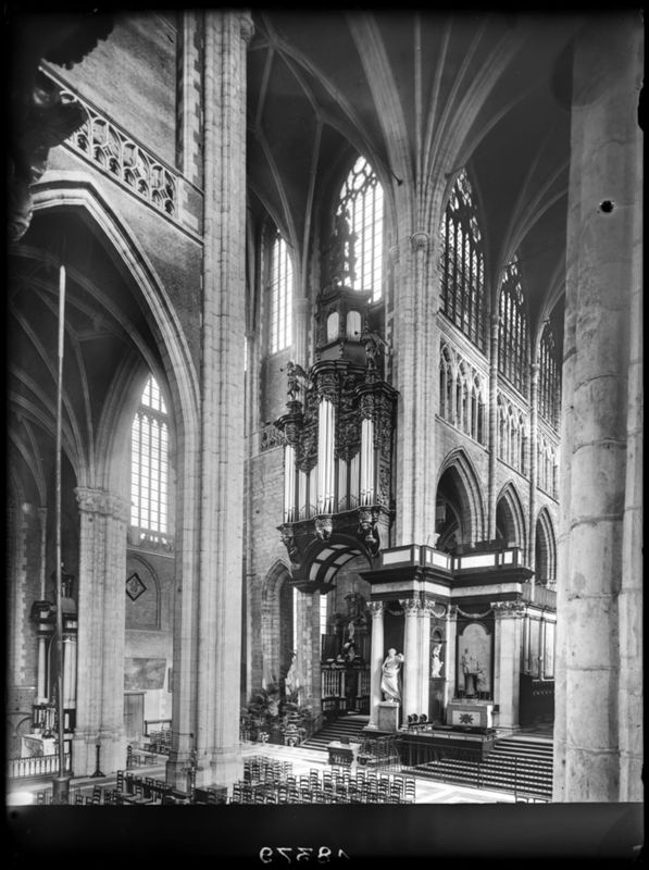 cathédrale / Cathédrale Saint-Bavon[Gand]