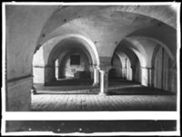 B018392