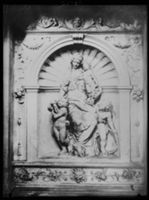 B018529