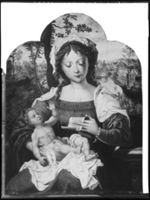 B019008