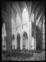 B019126