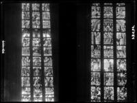 B019381