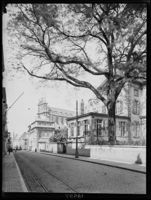 B019557