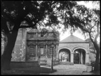 B019931