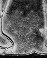B021853