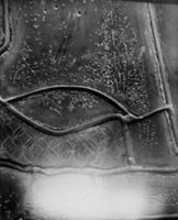 B021856