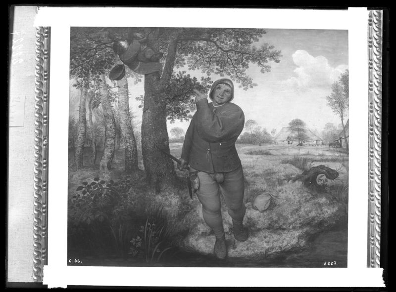 Le paysan et le voleur de nid