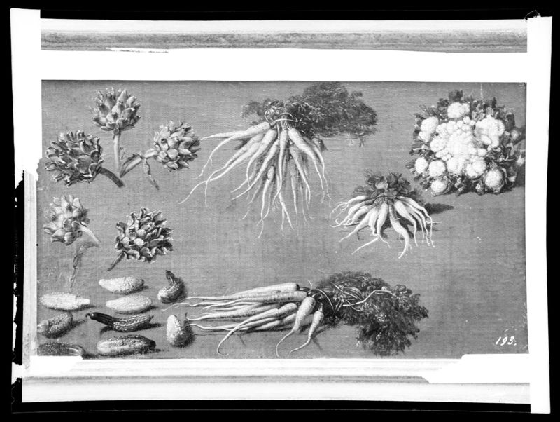Nature morte aux légumes
