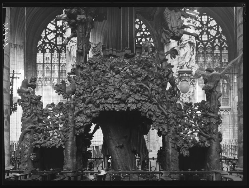 chaire de vérité / Cathédrale des Saints Michel et Gudule[Bruxelles]