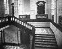 B025381