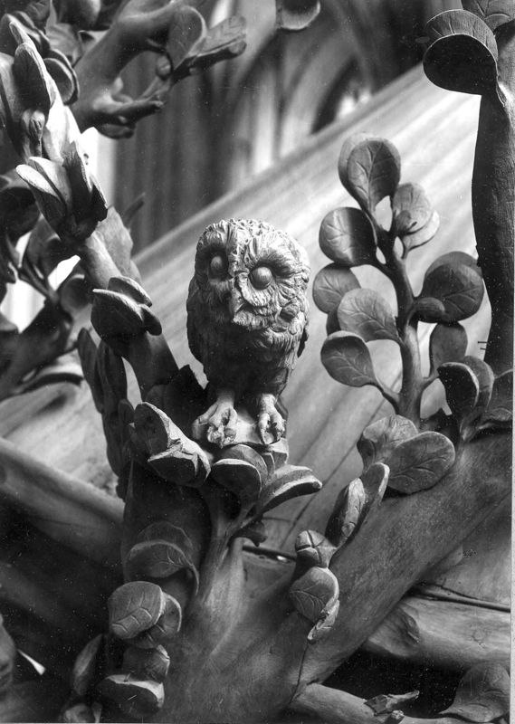 chaire de vérité / Kathedraal Onze-Lieve-Vrouw ten Hemel opgenomen
